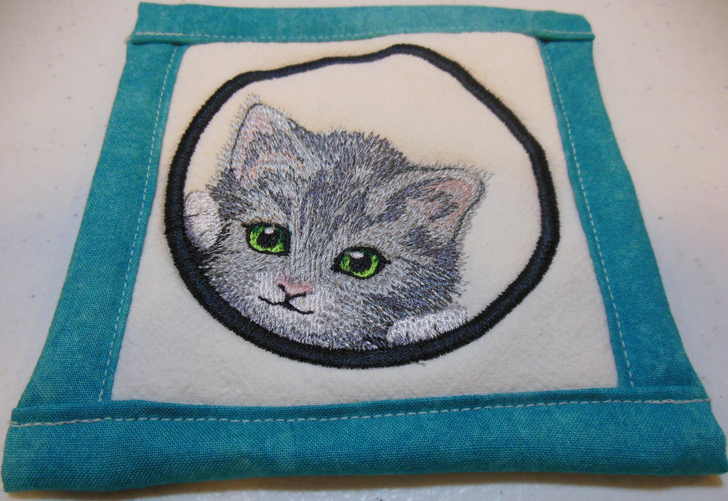 Gray cat in Ring Coaster